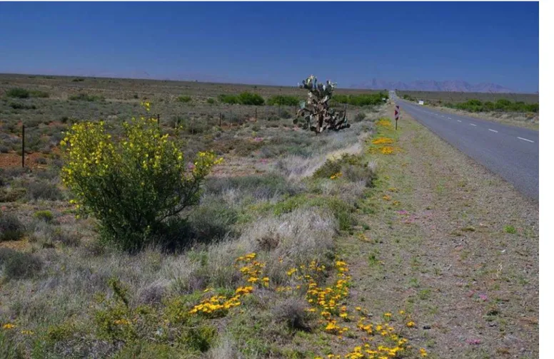 Fig 2. Sparsely populated Central Karoo district, South Africa. Photo by: Theo van den Handel, 2013.