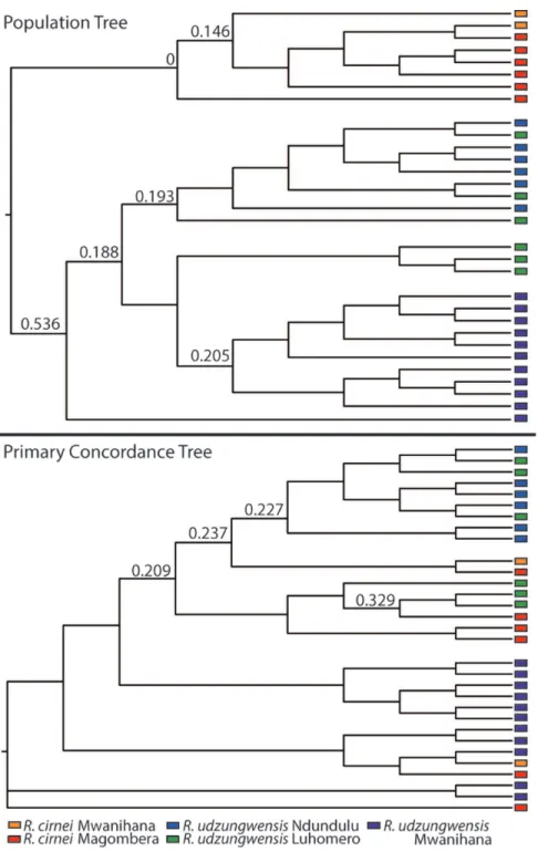Figure 4. Bayesian concordance analysis in BUCKy: Population Tree (top), Primary concordance tree (bottom)