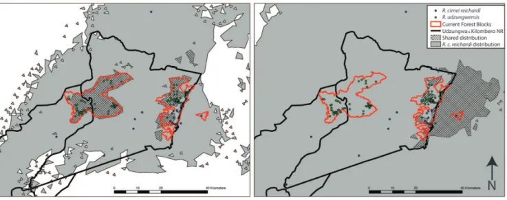 Figure 5. Species Distribution Models during current climate scenario (left) and wetter Last Interglacial (right; LIG)