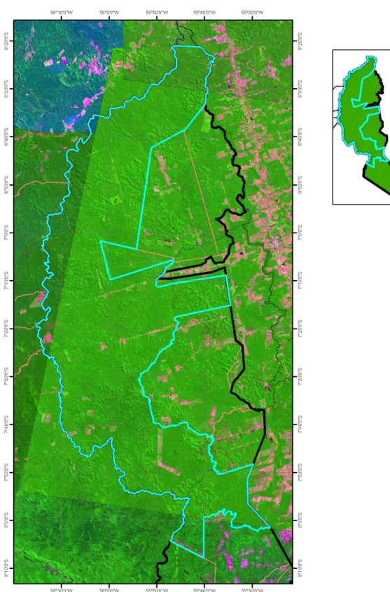 Figura 5.2.2 – Detalhe da região 2 sobre imagem Landsat 5 TM(R5G4B3) do ano de 2008 