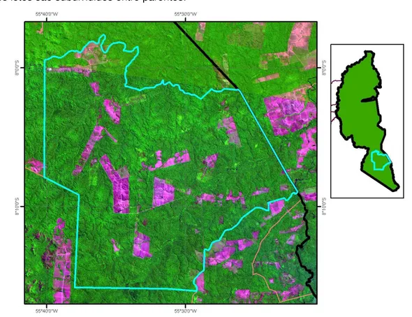 Figura 5.2.4 – Detalhe da região 4 sobre imagem Landsat 5 TM(R5G4B3) do ano de 2008 