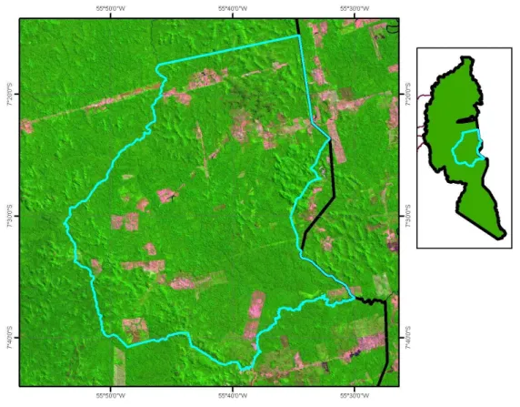 Figura 5.2.6 – Detalhe da região 6 sobre imagem Landsat 5 TM(R5G4B3) do ano de 2008  A  área  total  desmatada  até  2008  é  de  15%,  mas  várias  destas  foram  encontradas  em  estágio avançado de regeneração natural