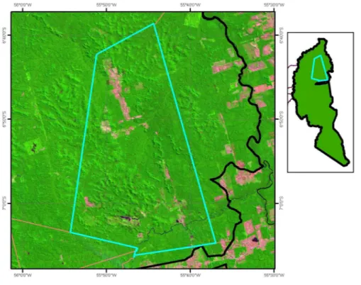 Figura 5.2.8 – Detalhe da região 8 sobre imagem Landsat 5 TM(R5G4B3) do ano de 2008 