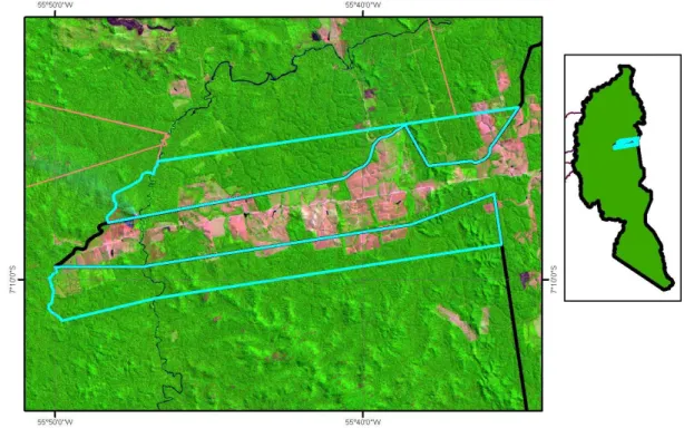 Figura 5.2.9 – Detalhe da região 9 sobre imagem Landsat 5 TM(R5G4B3) do ano de 2008. 