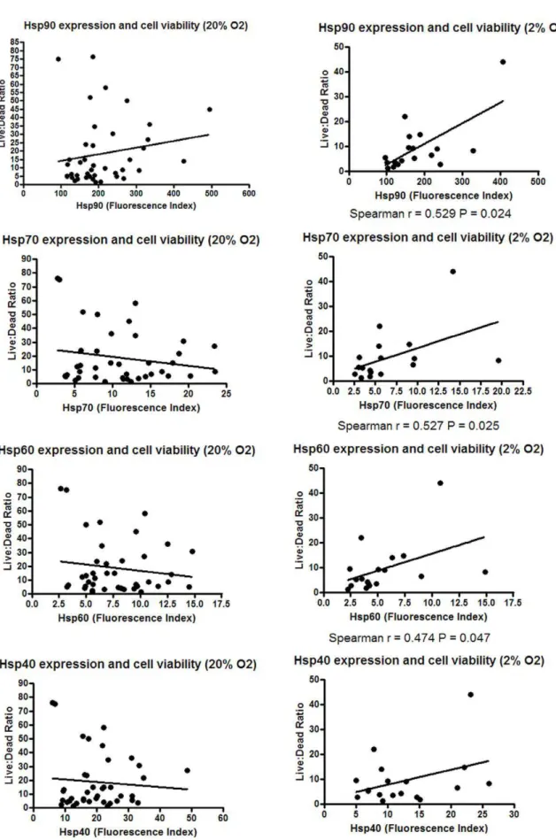 Figure 2. Effect of low oxygen culture on hsp expression. Forty two melanoma cell lines were cultured in 20% O 2 and 18 of these cell lines additionally in 2% O 2 for five days