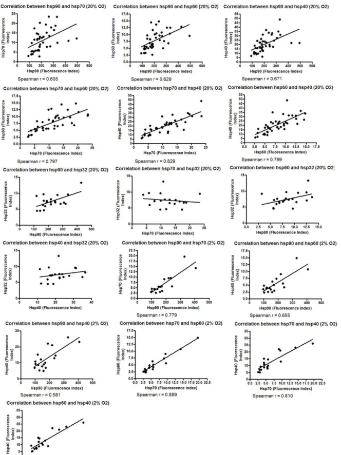 Figure 4. Correlation between the expression of different hsps. Melanoma cell lines were cultured in 2% O 2 and 20% O 2 for five days.