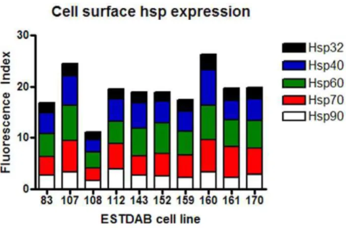 Figure 7. Cell surface expression of hsps on melanoma cell lines. Ten melanoma cell lines were cultured in 20% O 2 for five days.