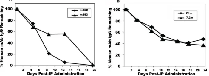 Figure 8. Serum concentrations of human and mouse anti-F1 and anti-V mAbs in the plague mouse model over time