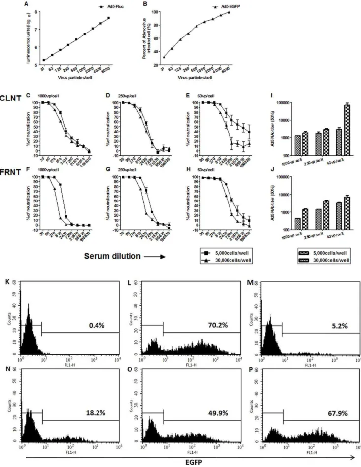 Figure 1. Optimization of conditions for CLNT and FRNT assays. (A) Dose-response between Ad5-Fluc virus inoculum and luciferase transgene expression