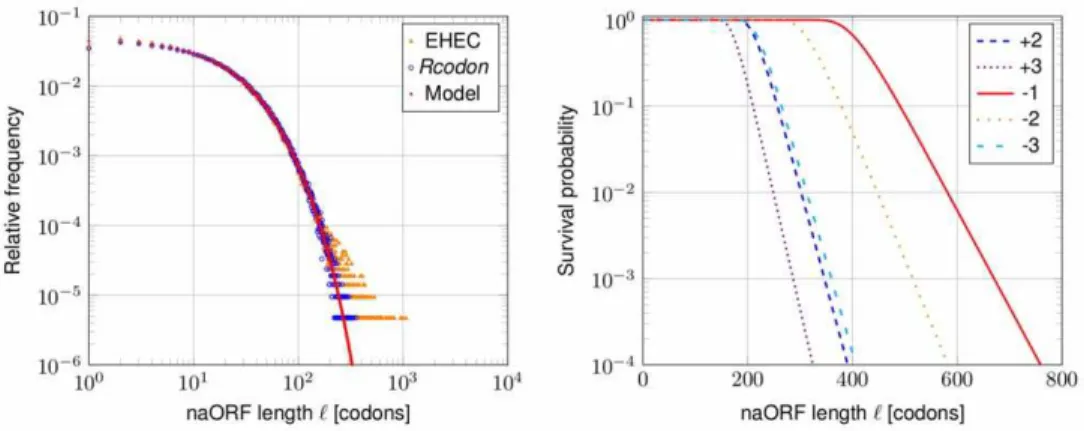 Figure 8. naORF lengths distributions. Left panel: The relative frequencies of naORF lengths derived from EHEC (orange triangle) are compared to Rcodon (open blue dots) and the mixture model (red line)