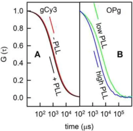 Figure 2. PLL (115 residues) binding to free-standing planar membranes. (A) Representative autocorrelation curves obtained for gCy3-doped planar lipid bilayers prior to (red line) and subsequent to (black line) the addition of PLL to both sides of the memb