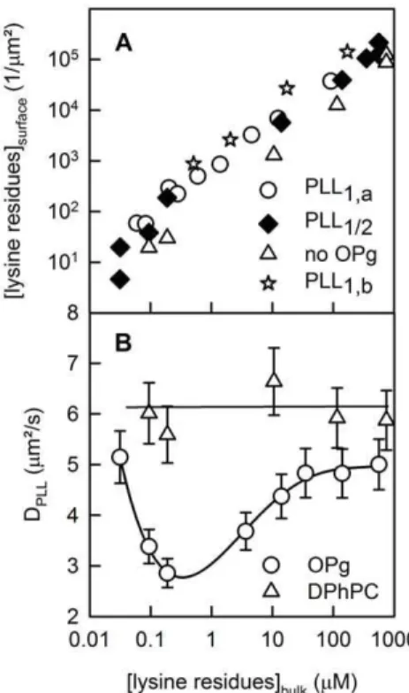 Figure 3. Membrane bound PLL. PLL surface concentration PLL surface
