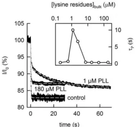 Figure 5. Lack of cluster formation upon unilateral PLL addition. Unilateral PLL addition at a concentration of 2.5 mM per lysine monomer, only has a minor effect on the lifetime t P of OPg dimers even at 1 M KCl on the opposite side