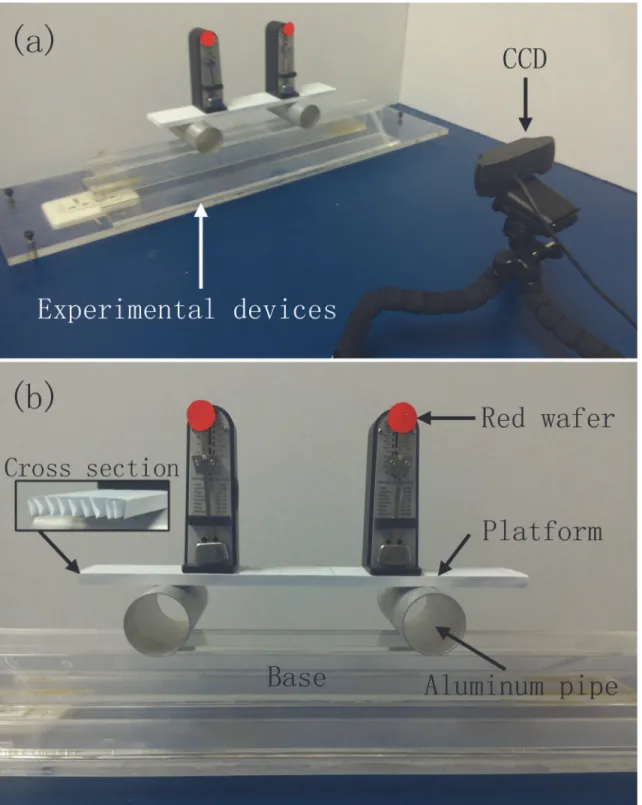 Fig 1. The experimental setup. (a) The experimental equipment and the CCD acquisition system