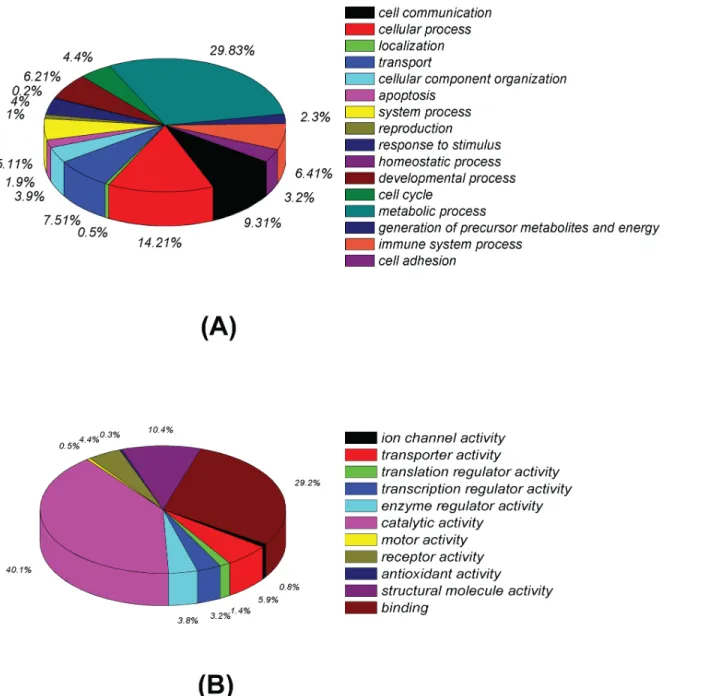 Fig 3. Classification of differentially expressed proteins based on GO annotation. (A) Categorization based upon biological process analysis of total differential protein expression