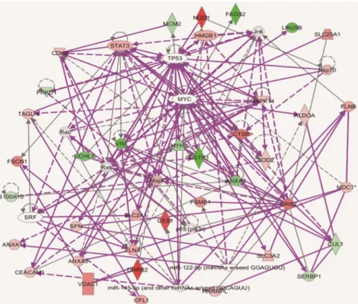Fig 4. The interaction networks of differential proteins in Huh7.5.1 wt and HepG2 cell lines by IPA analysis