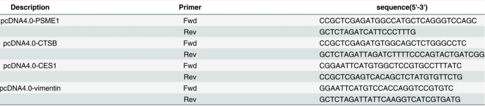 Table 2. Primers used in this study.