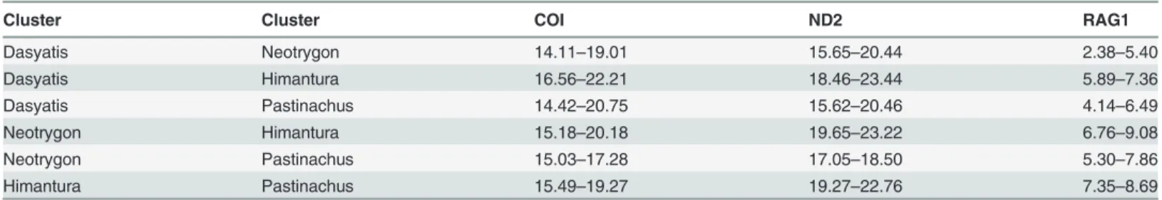 Table 2. Range of uncorrected p-distances among the four clusters in the Dasyatidae (sensu Carpenter &amp; Niem, 1999) based on COI, ND2 and RAG1 genes.