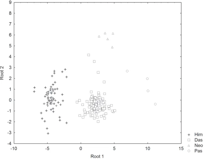 Fig 4. Plots of canonical scores derived from forward stepwise discriminant analysis of morphometric measurements of four stingray families.