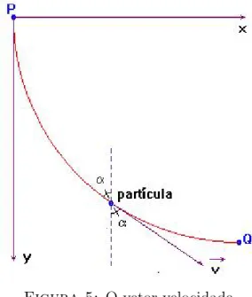 Figura 5: O vetor velocidade.