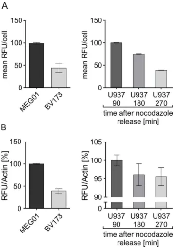 Fig 7. Comparability of flow cytometric- (A) and lysate-based (B) Separase activity assays