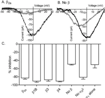 Figure 4. a1 and b subunits are involved in anion interactions with CaV1.2. A. I Ba recorded from a cell expressing short N terminal CaV1.2 with a2d and b2a
