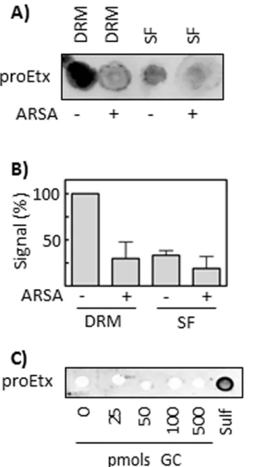 Fig 5. Removal of sulfate group impairs proEtx binding to DRM lipids from synaptosomes
