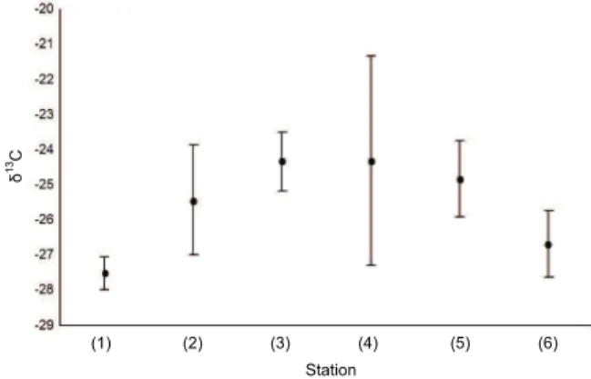 Figure 3. Mean values and standard error from the carbon  isotopic composition (δ 13 C) in the collection points (center   n = 14; margin 1 n = 16; margin 2 n = 16)