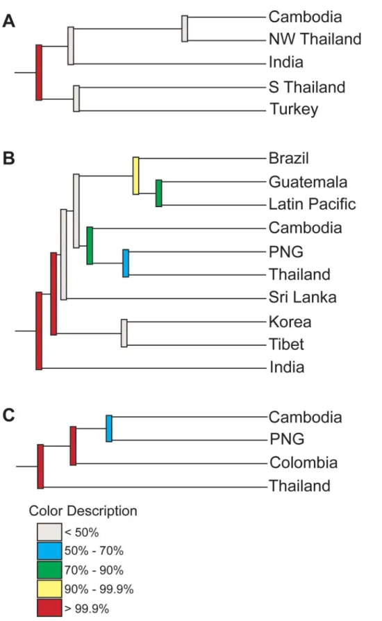 Figure 5. Jackknifed consensus trees demonstrate reproducible geographic clustering in pvcsp VK210 and VK247 isolates, but not pvmsp-1 