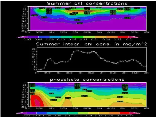 Fig. 10. Cross section at longitude 28.5 ◦ E. (Top) Summer distribution of chlorophyll concentra- ° tions (mg/m 3 )