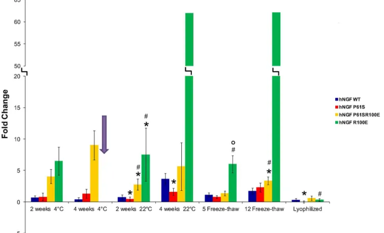 Fig 7. In vitro stability by TF1 Proliferation assay read-out. The fold changes of ΔC50 values for all the destabilizing treatments (temperature 4°C-22°C, freeze-thaw cycles 5–12 and lyophilization) carried out on hNGF WT (blue), hNGF P61S (red), hNGF P61S