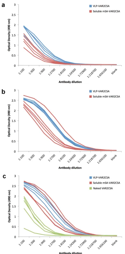 Fig 5. Reactivity of sera from vaccinated mice by ELISA. C57BL/6 mice were immunized three times with three-week intervals