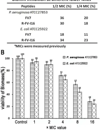 Figure 11. Anti-biofilm activity of the peptides. A) The capability of peptides inhibited the formation of biofilm at sub-inhibitory concentrations