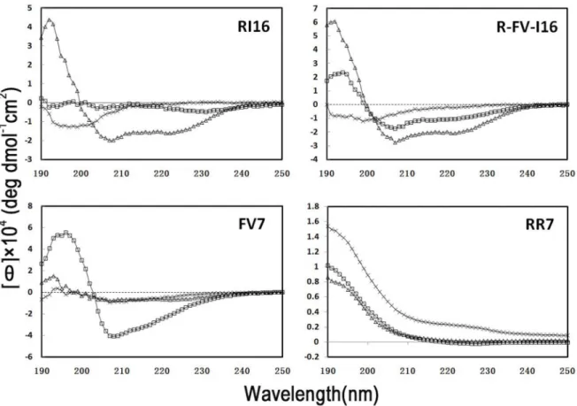 Figure 3. The CD spectra of the peptides. The peptides are dissolved in 10 mM PBS (pH 7.4) (6, dash lines), 50% TFE (g, triangles), or 30 mM SDS (%, squares), and the concentrations are fixed at 150 mM