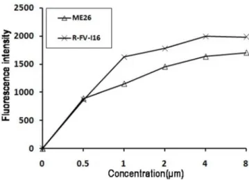 Figure 7. The outer membrane permeability of the peptides.
