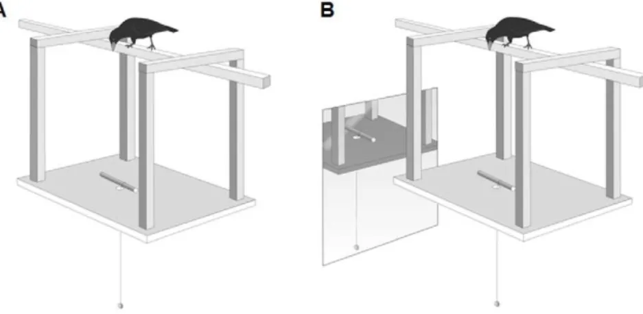 Figure 1. The visually-restricted apparatus. (A) Without the mirror. (B) With the mirror.