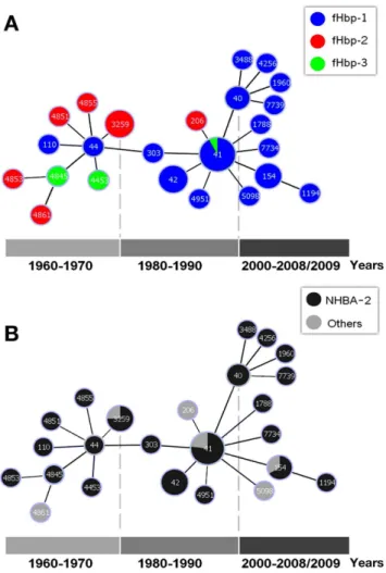 Figure 4. The evolution of cc41/44 over 50 years. The structure of cc41/44 was analysed with phyloviz based on the goeBURST algorithm [62]