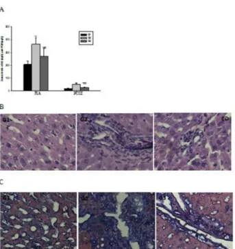 Figure 5.  Halofuginone suppress the protein synthesis of Collagen 1, α-SMA and TIMP2