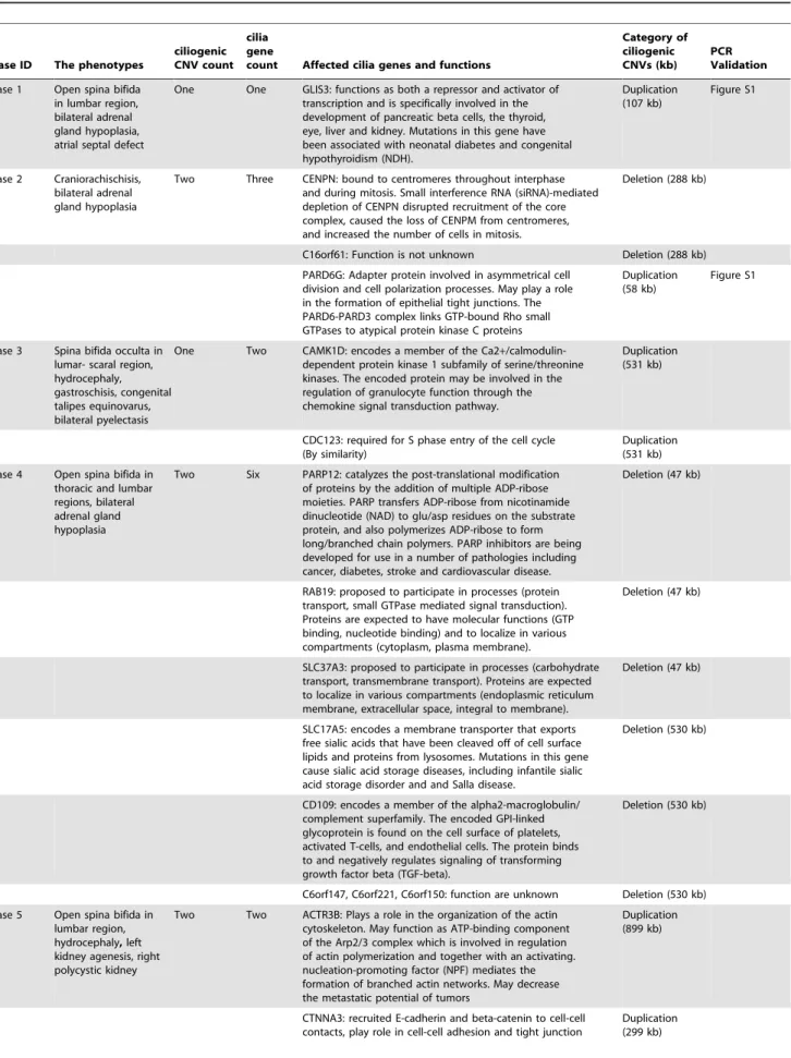 Table 5. The detailed phenotypes in 11 systemic NTDs carrying ciliogenic CNVs and abnormal urinary/adrenal development.