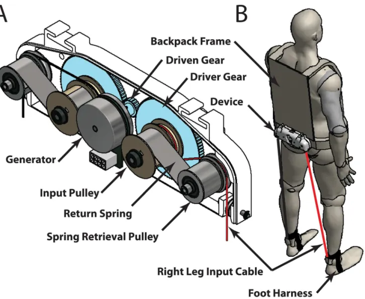 Fig 1. Lower-limb driven energy harvester. (A) Schematic of device components. (B) Schematic view of the device worn by the user