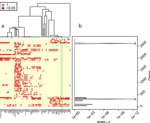 Figure 3. Borders of the recombinant region in ST239. a) P-values of the Fisher test performed on the filtered matrix obtained from the comparison of TW20 (ST239) against all the other S