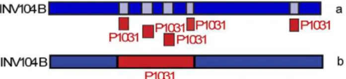 Figure 7. Recombination in the S. pneumoniae - S. mitis complex. a) Comparison of S. pneumoniae Taiwan19F-14 (ST236, CC271) strain against all the other streptococci