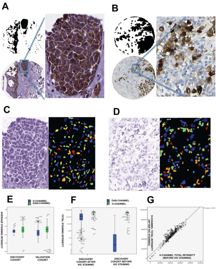 Figure 2. Melan-A and nuclei segmentation dependence on the staining variability in the three patient cohorts available