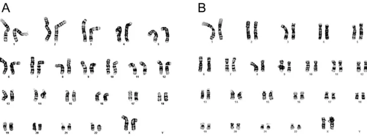 Figure S1 Morphology of hESCs grown on feeders after sorting with application of Y-27632