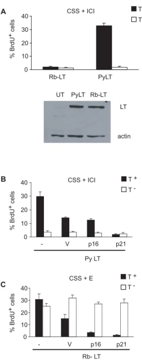Figure 1. MCF-7 cells expressing PyLT are sensitive to p21 but refractory to p16 arrest