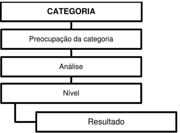 Figura 10. Estrutura de análise da categoria  Fonte: Autoria própria, 2015.