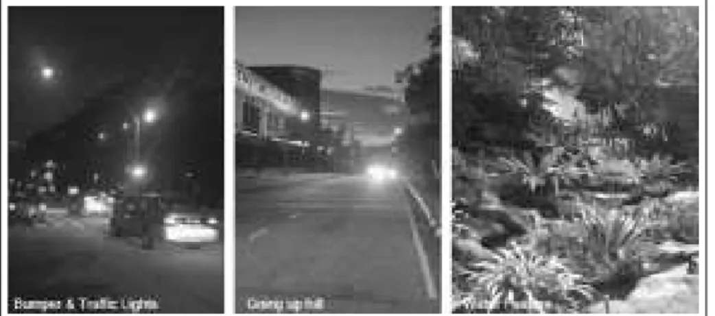 Figure 5: Present of road bumper, traffic lights, hilly terrain and water feature near DTC