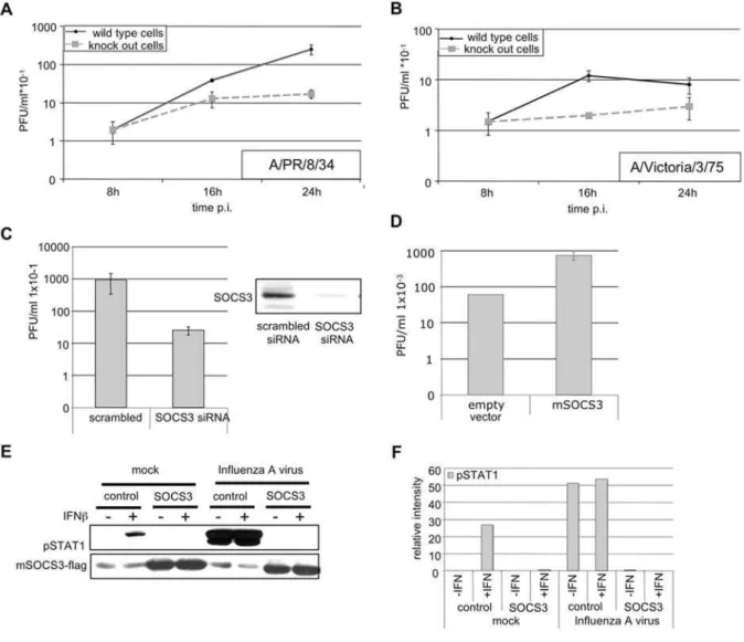 Figure 8. Efficiency of influenza A virus replication is dependent on SOCS3 expression levels