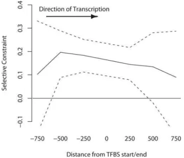 Figure 5. Selective constraint of regulatory noncoding (TFBSs, pCRMs and ChIP-chip sequences) and coding (nonsynonymous sites) DNA in humans, chimpanzees and macaques.
