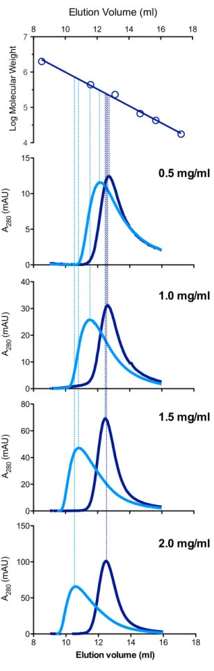 Figure 6. Analytical gel chromatography of zfNAGS-C with and without L-arginine. The top panel shows a semi-logarithmic plot of molecular mass vs